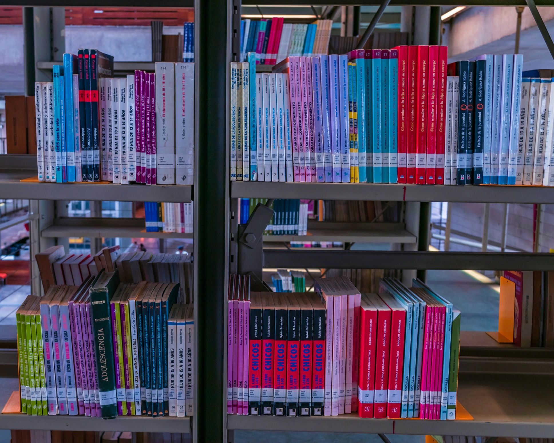 Library shelves filled with books