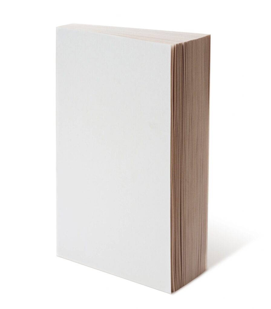 Book cover mockup for “The River & the Lute” (Paperback) — clean typography on neutral background